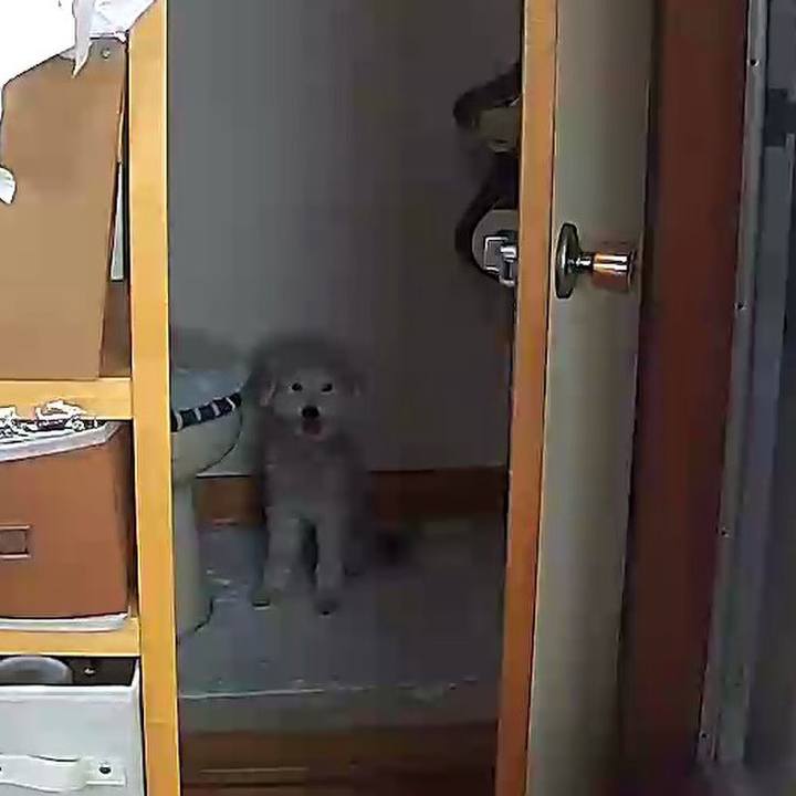 Eacddf48 9026 439a a41f ebaed81715ae 1625626394378