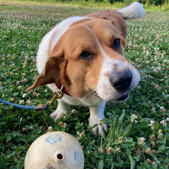 Eacde0e1 b01a 462f be99 fb70c649f290 1689809779759