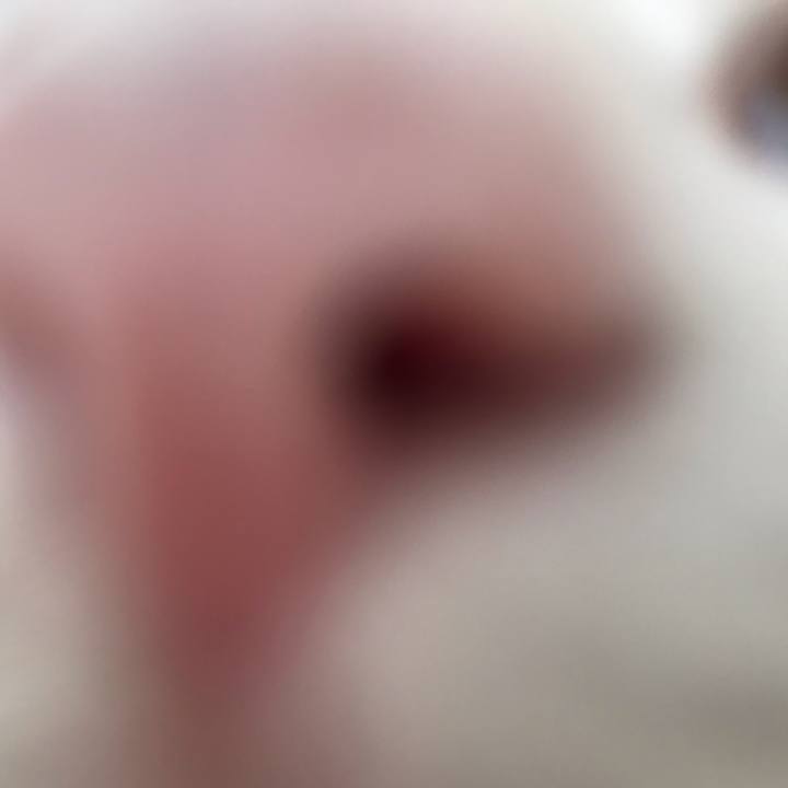 Eacdfeae 11eb 4534 9dba 6483d93cbb00 1553418629370