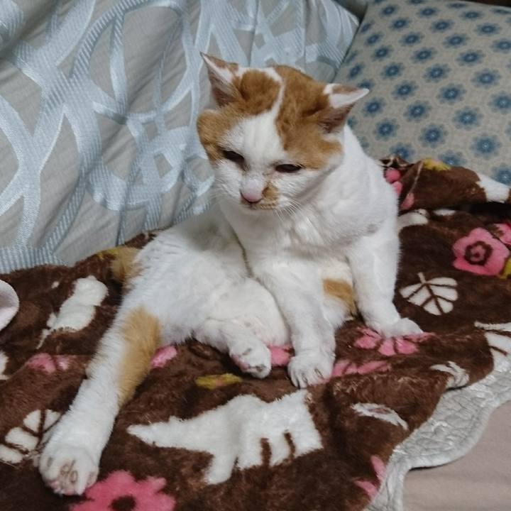 Eace0681 a5fd 4226 87a5 09fb22a4e0bd 1526186481700