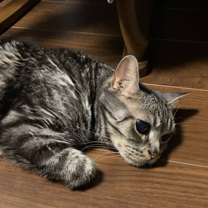 Eace577a 0b33 4347 a035 b128fd8b64fd 1689166906701