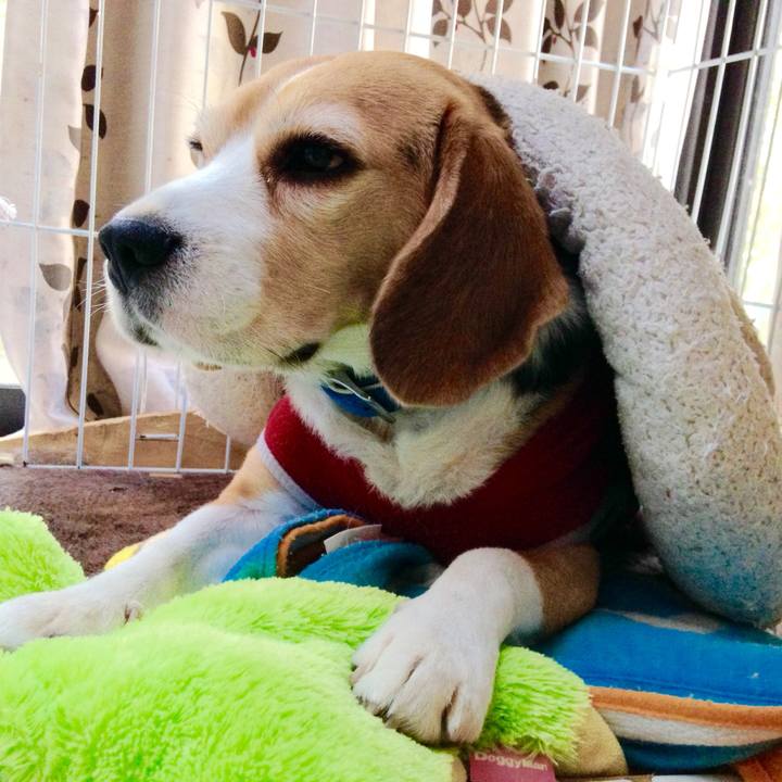 Eace6970 879c 4580 9f6b 4a73d3c63019 1731628050742