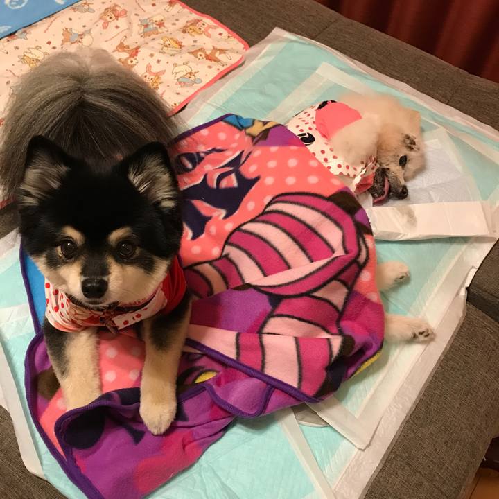 Eace9437 2738 4e65 aa8f fc96c1f7536a 1542538798402