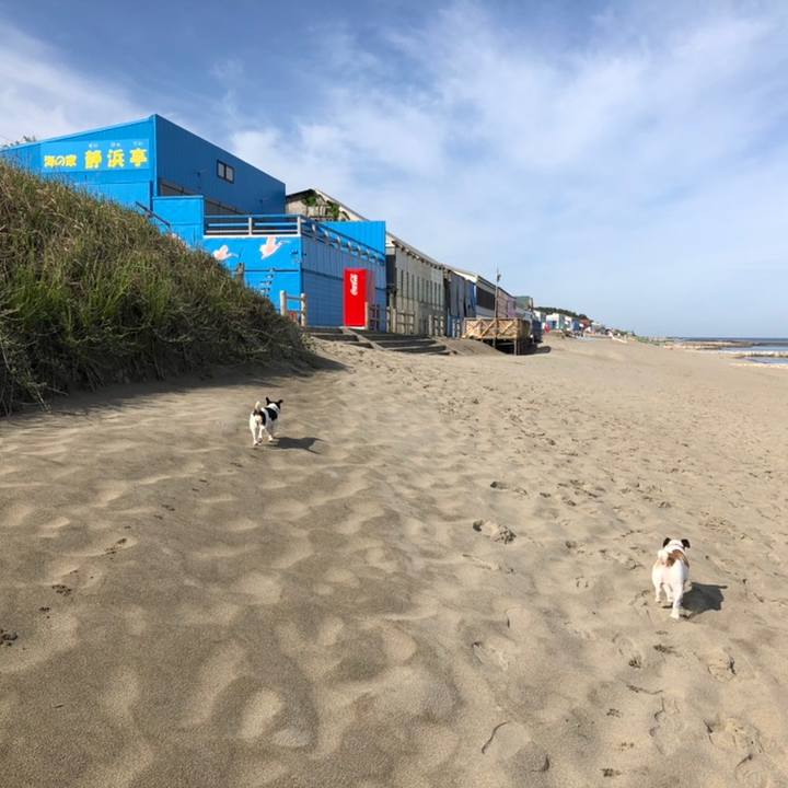 Eace9923 fc8a 4e15 883e 0510ad1af1fb 1558483950913