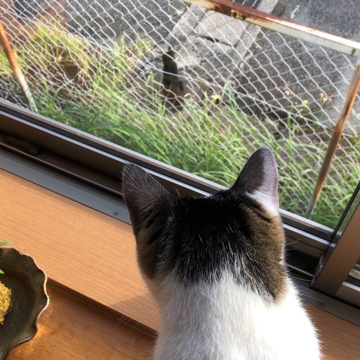 Eace9b7a d998 4d90 85e3 27522d5509df 1599952097123