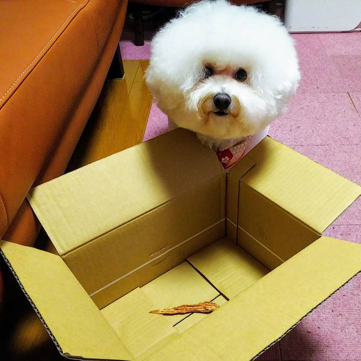 Eacf0705 5d53 446e 8001 23caa161fddd 1545738407060