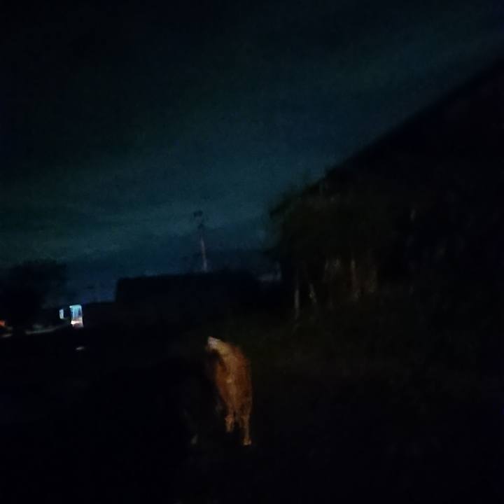 Eacf24fe 860a 4b3f 85e2 5ba5ef1eaee2 1603447122216