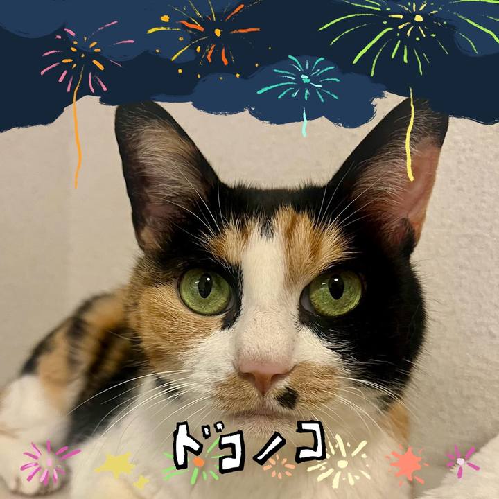 Eacf3fba 7138 415d 9bf2 1822a1e29cd6 1723180575035