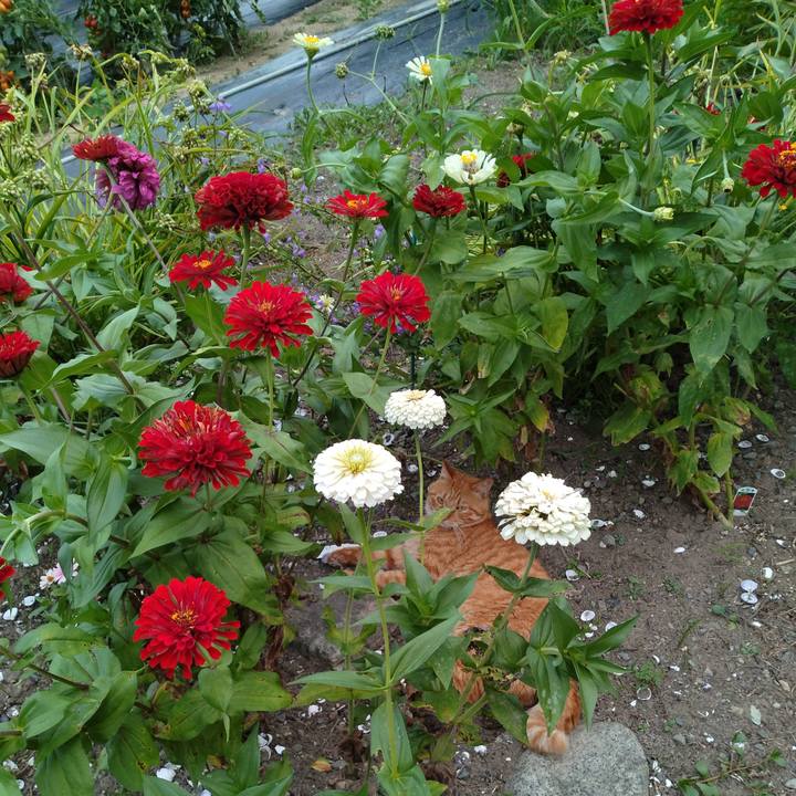 Eacf401c 7561 4b06 885d 0392cc873b42 1690972160622