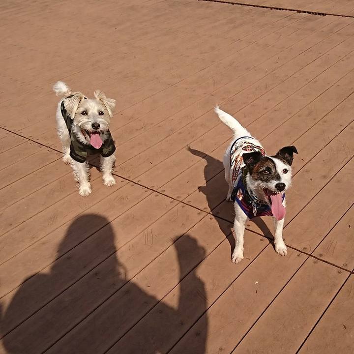 Eacfa3b4 117d 4722 86d9 744c307c3752 1586340023943