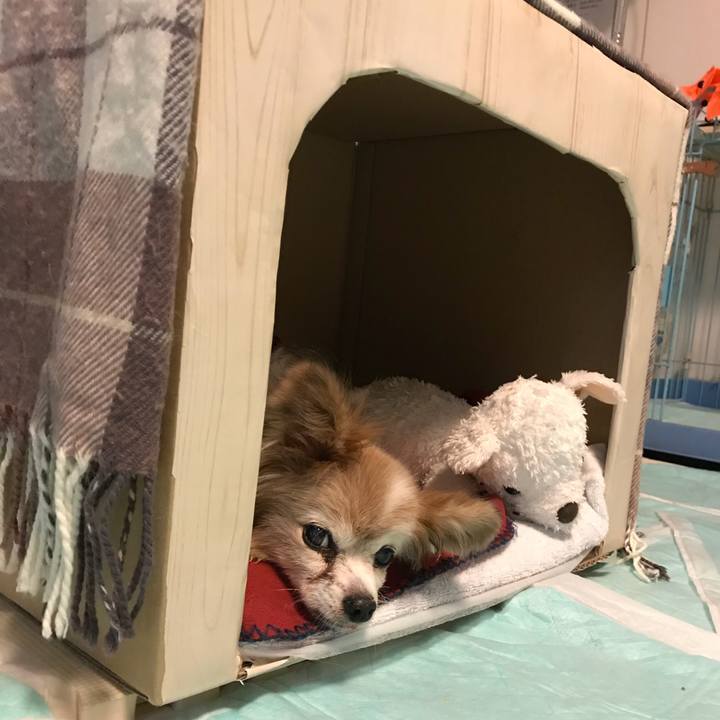 Eacfbf9c d8ec 493b b0aa 0bb1715c5e4f 1509279129173