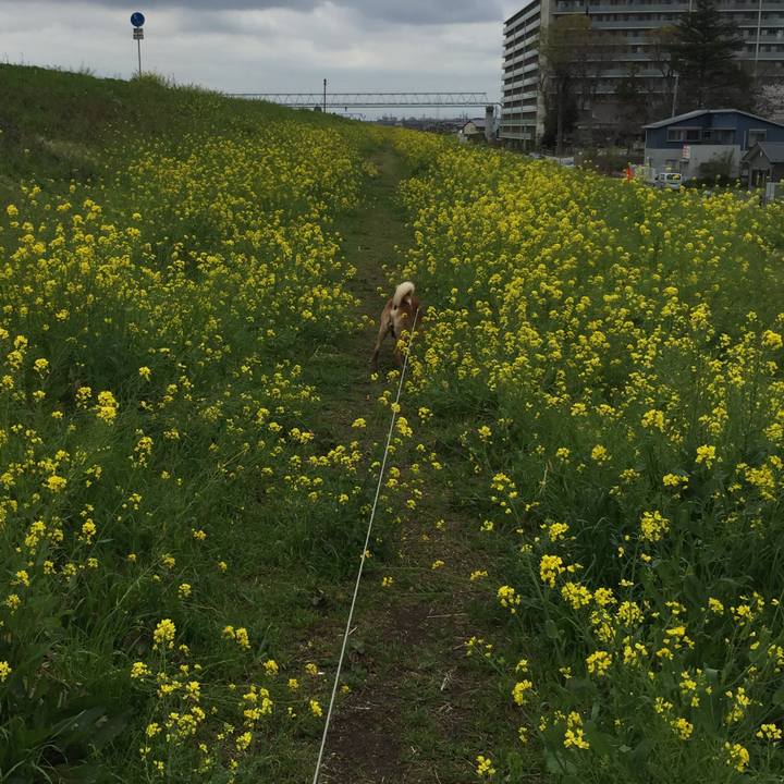 Eacfc33d 3358 4d24 992c 058567911c15 1586068490991