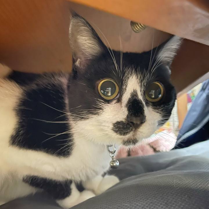 Eacfc61e ec3c 48c3 b657 bee0d4534884 1769035985521