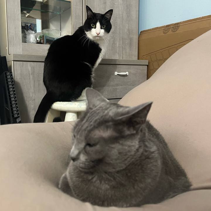 Eacfe12a 62ed 4580 a89e 184eb253b65d 1760318863478