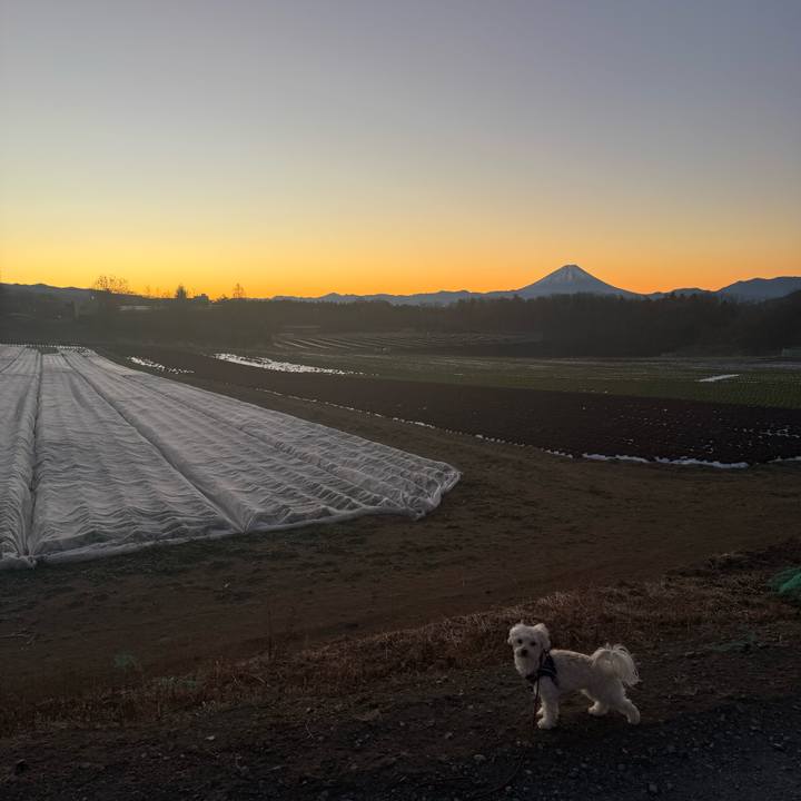 Eacff2e3 6825 4abe afac 6dbc81458ec4 1769135193730