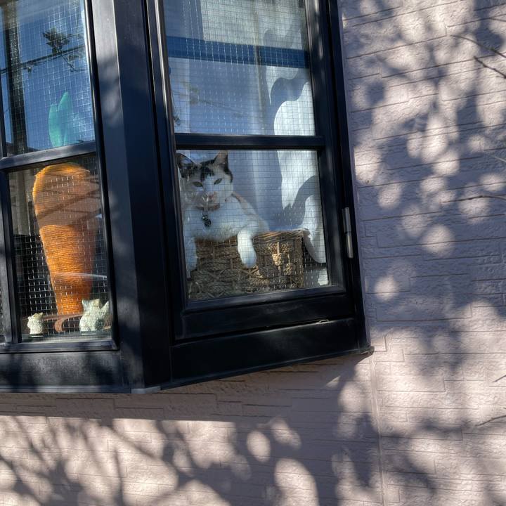 Eacff988 faed 46ba 8899 008e2e423139 1732931755923