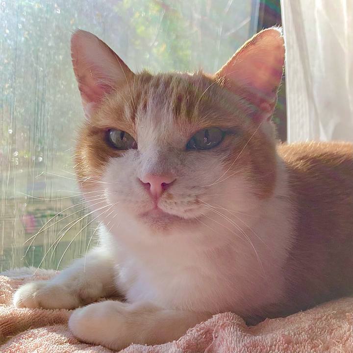 Ead007d1 44b6 401e 9136 044679bceb4d 1668748329951