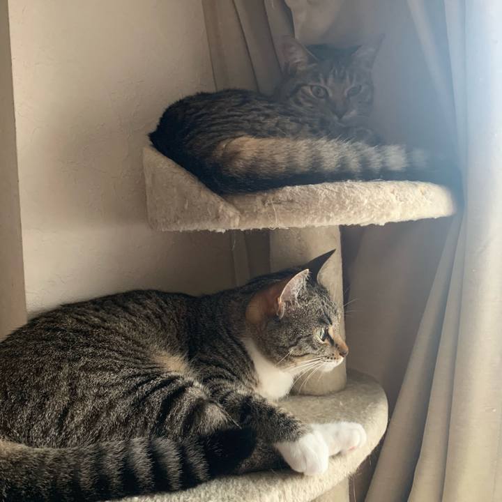 Ead00d47 c796 42c6 be10 32363cc6f05b 1571669606358