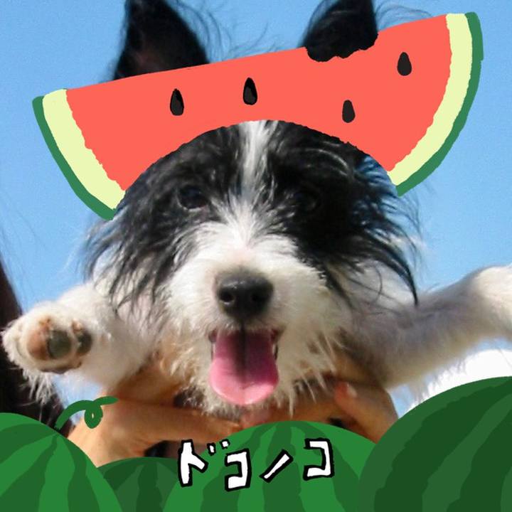 Ead01095 deef 4eaf 9202 432accdca1bd 1721302193830