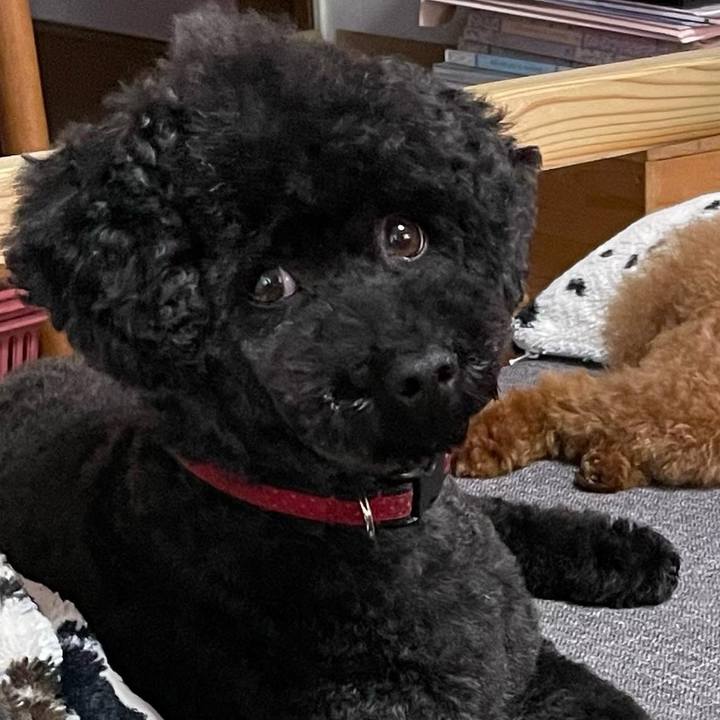 Ead01c7f 89e8 43fe b370 815108962d05 1653715841374