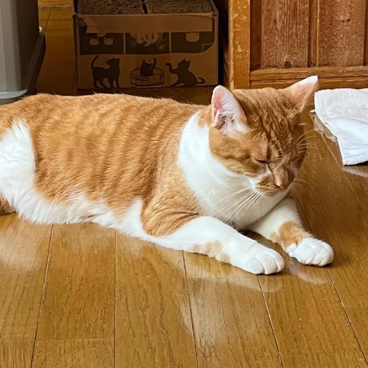 Ead06c99 3d08 4356 9a63 ce69a1811f25 1698403626940