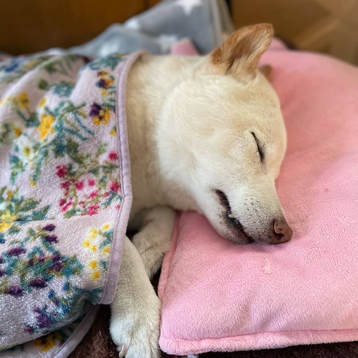 Ead08a17 61ea 4c80 b1c7 cfd5adc5859f 1647751019403