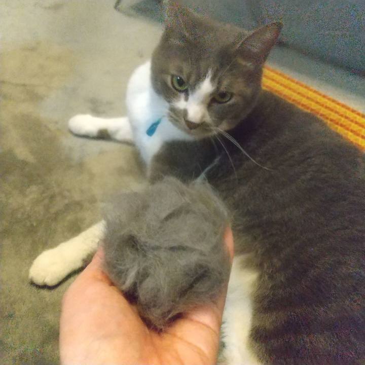 Ead0957e 12a4 4d12 a19a b6a0a7f84963 1651581586936