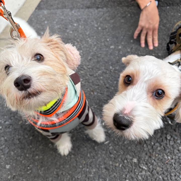 Ead0c2bc 92e3 49af a535 11e8bba022c3 1763420558572