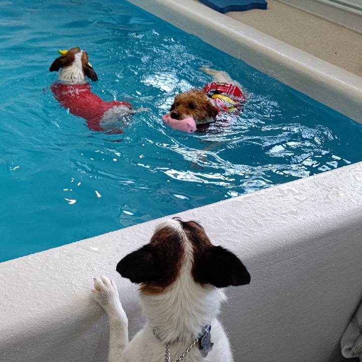 Ead0cabf 2623 4a37 9bca 58a26c71a071 1619757109003