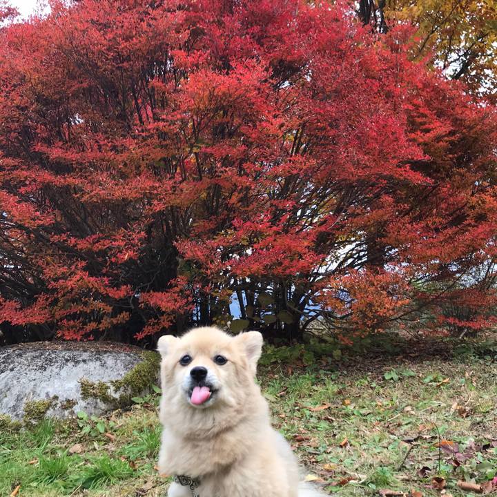 Ead0d703 470c 411b bef5 2ecc59af5891 1606394670709