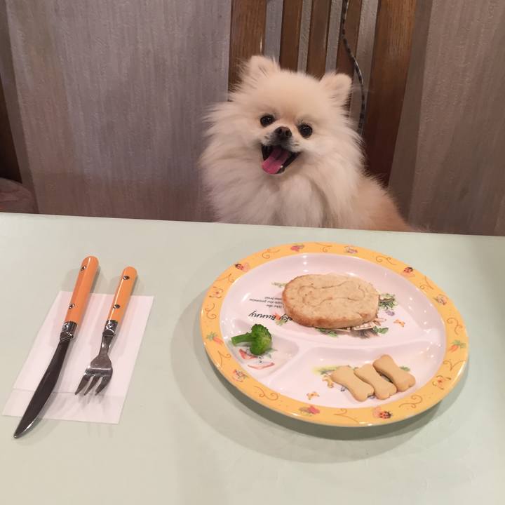 Ead0f520 b926 48a5 813b dbf4445e9108 1537435898961