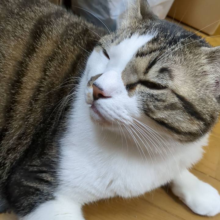 Ead11ca5 6013 402f 94cf 615acfe8ba20 1672317718697