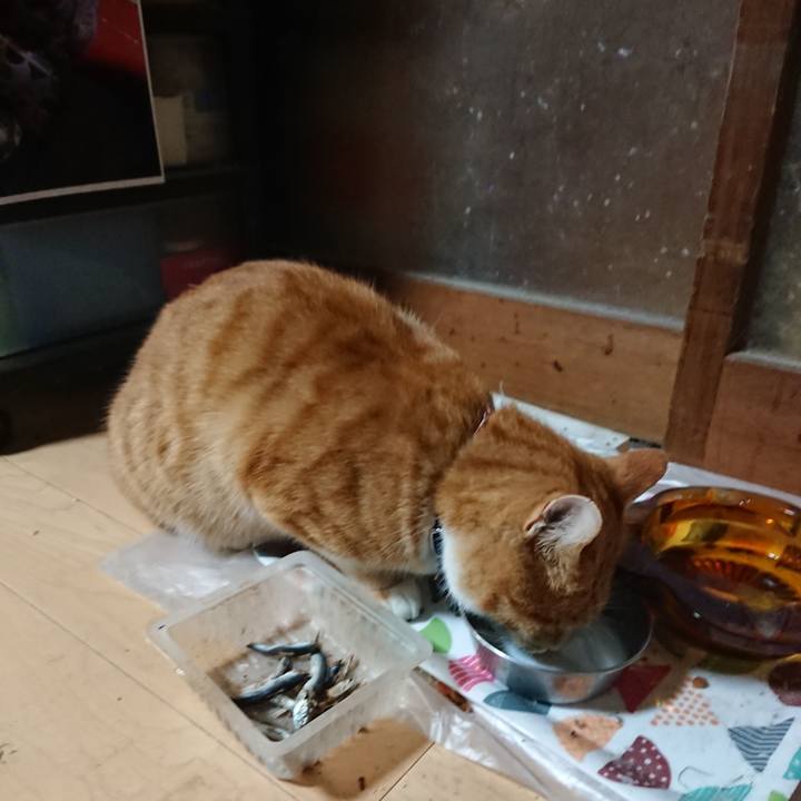 Ead15731 b3bc 4069 b72f d98842fb74a8 1605348953251