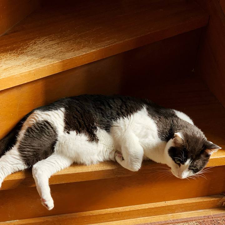 Ead16a32 1bac 426b 9177 9293e110b914 1596159815922