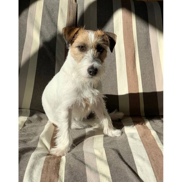 Ead1cab3 9770 4a74 97bb 9c16986365e0 1578876942064