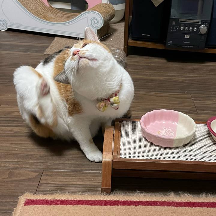 Ead1ed3f f90e 4297 85e3 cb1bdf95bbcb 1640338166297