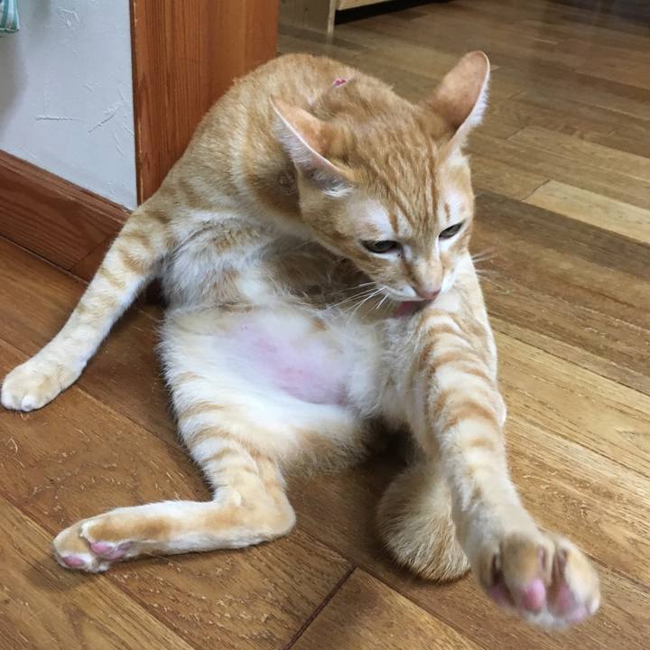 Ead1ff65 177e 465c 8f09 1210113bdd4c 1516447547496