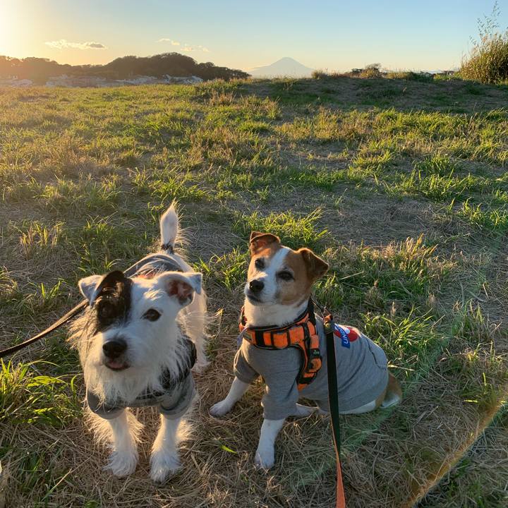 Ead2207b c9b0 4d70 b5cd 28f497ef443b 1636616719226