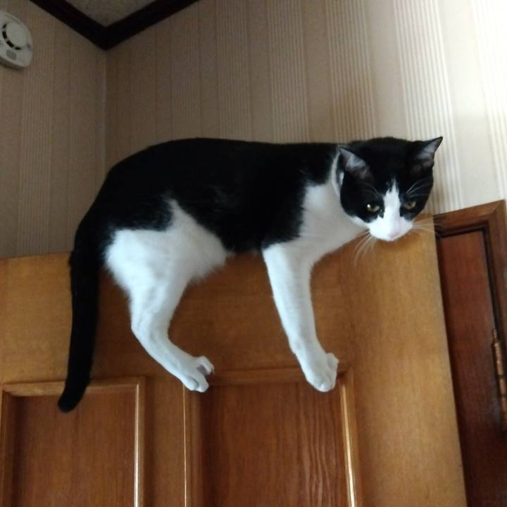 Ead264ee 3cec 4540 9ad9 e04f893693e7 1657153105493