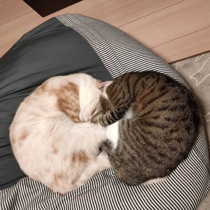 Ead27bf5 268f 42e8 906d cca68c81c02e 1670318228916