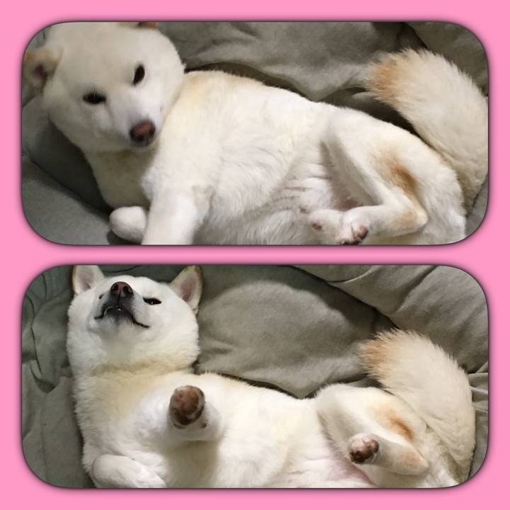 Ead287bf ec5f 4699 aea4 7206be7eceba 1553863745248