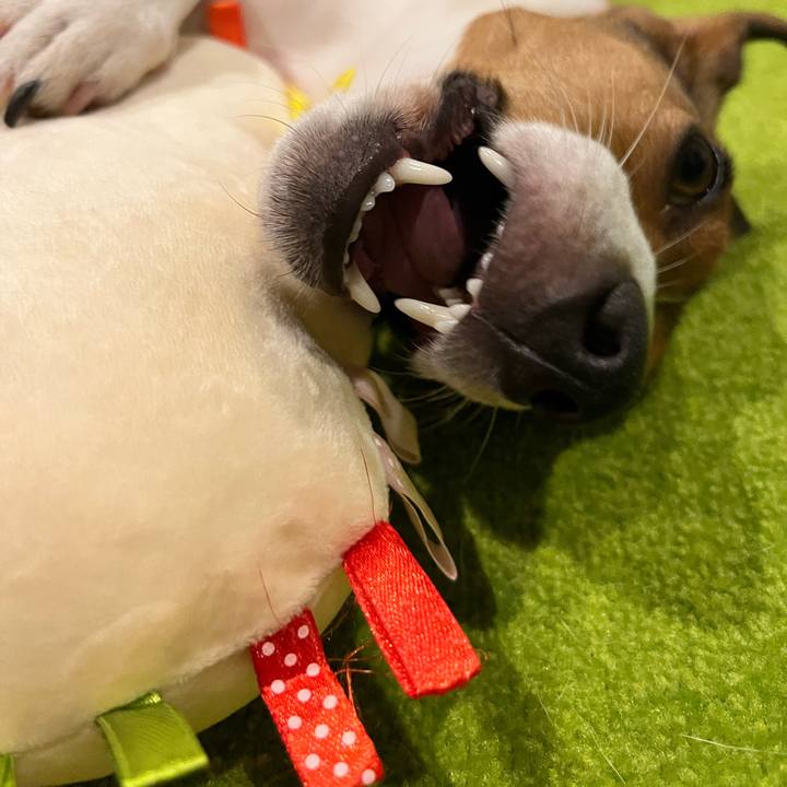 Ead2a4ff 200b 4a5b ac1f 530eaf50055e 1723871632148