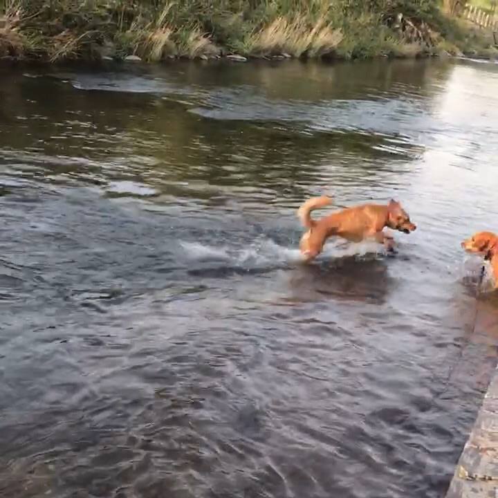 Ead2b401 97a2 459b 8f5b a27a1f1b5b0b 1518838010230