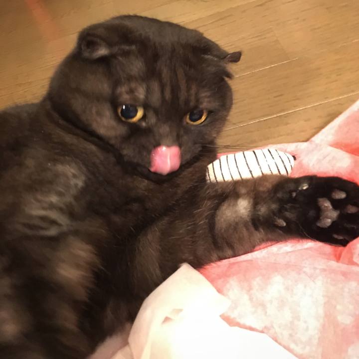 Ead2e1e7 e5d1 4e6a 8a07 37962d7d3d13 1547641001933