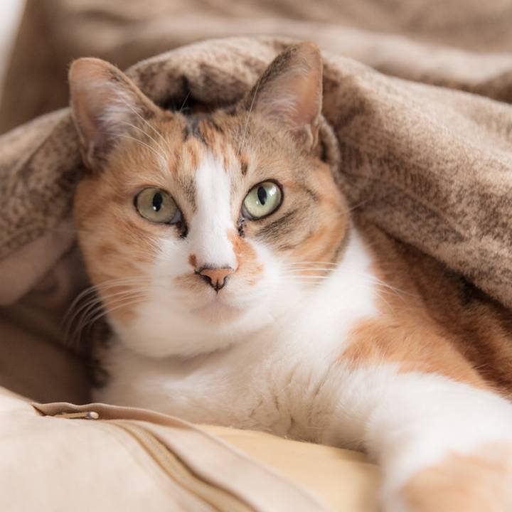 Ead2f92e b4d0 4b1f 98a0 a6d871d63737 1554744548433