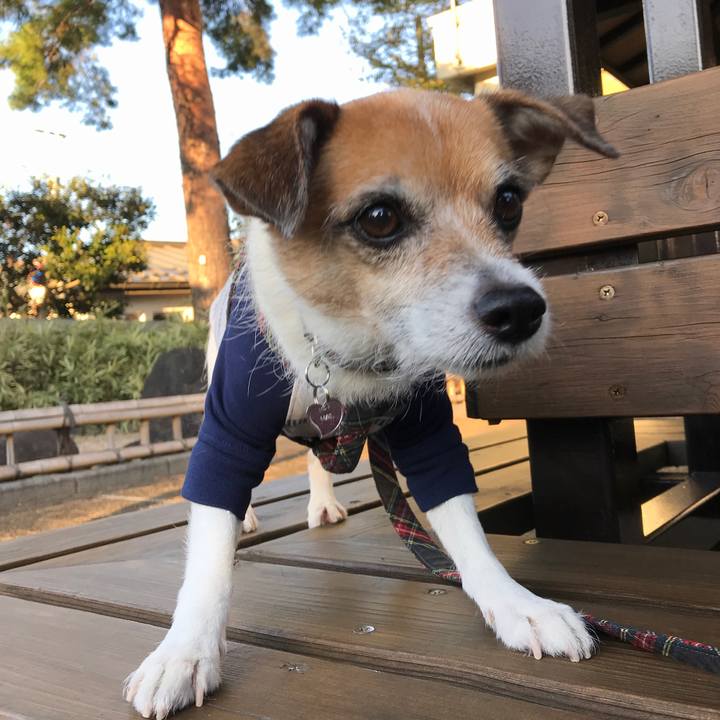 Ead303ea f839 43dc b26c 8affb490666b 1573026199946