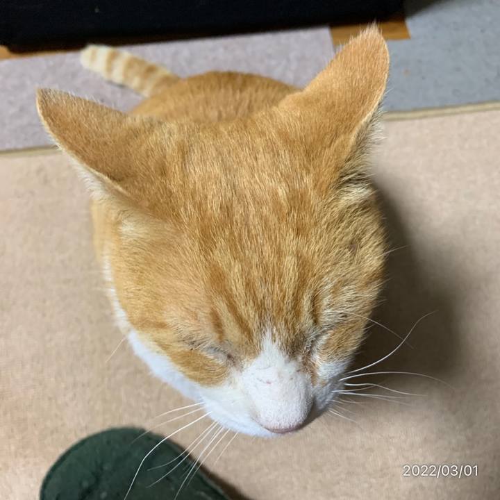 Ead30be1 481a 4fbe b390 3719c872b31a 1646140703760