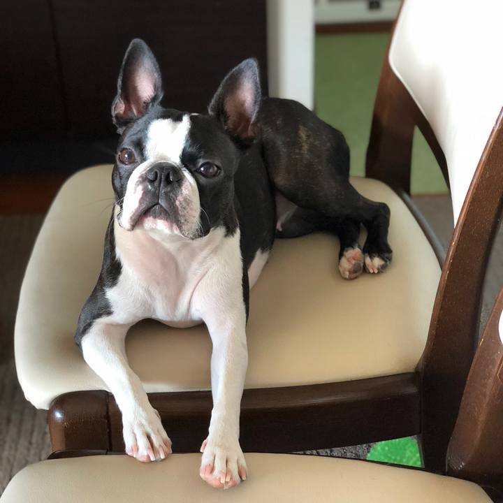 Ead32c19 96f2 4c7d 9951 493210c39c45 1534309015550