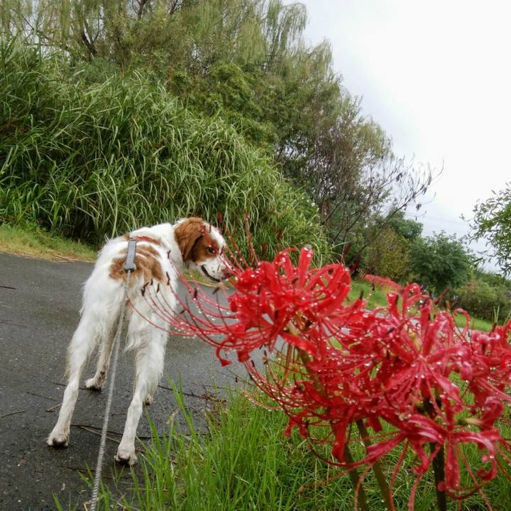 Ead338db 3eb6 4499 a374 5fef09f2b00d 1537579879495