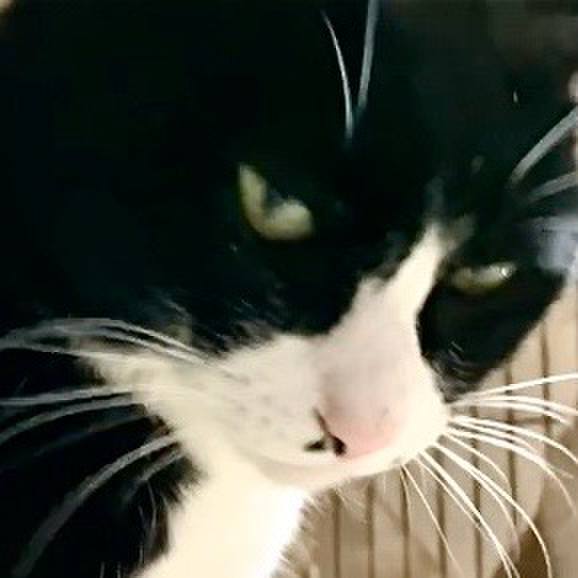 Ead36368 cb74 4256 a2e8 ae4a9c7ff91b 1733563460236